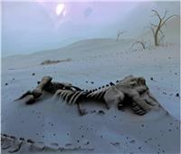 موجة الجفاف تتسبب في الكشف عن آثار أقدام ديناصورات عملاقة في تكساس
