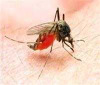 خبير يُحذر: ارتفاع الحرارة في أوروبا قد يؤدي إلى انتشار الملاريا 