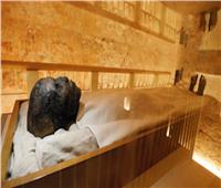 مؤتمر دولي احتفالا بمئوية اكتشاف مقبرة توت عنخ آمون 