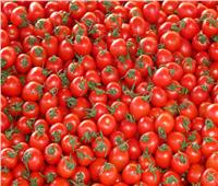 «الفاو»: مصر تحتل المركز الخامس عالميًا في إنتاج الطماطم لعام 2020