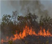 عدد قياسي من بؤر الحرائق في الأمازون  منذ 15 عامًا 