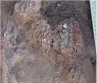 اكتشاف خواتم ذهبية مدفونة مع امرأة داخل قبر منذ 6500 عام