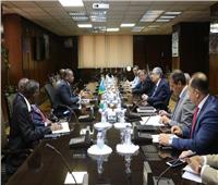 وزير الكهرباء يبحث مع وزير الطاقة الجيبوتي سبل تعزيز التعاون بين البلدين
