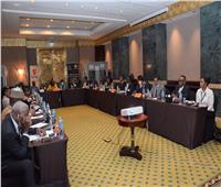 عرض تجربة مصر للتوسع في تنفيذ اللامركزية بلجنة وزراء التنمية المحلية الأفارقة