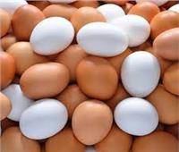 ارتفاع طفيف في أسعار البيض.. اليوم  