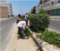حملة لتجميل وتهذيب أشجار الحدائق بمدينة سفاجا