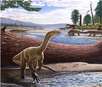 يعود تاريخه إلى 230 مليون سنة.. اكتشاف أقدم ديناصور في إفريقيا 