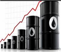 «أوبك بلس» تتوقع زيادة عجز ومعاناة أسواق النفط في 2023 