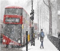 الديلي ميل: الحياة المرعبة في بريطانيا تبدأ الشتاء القادم