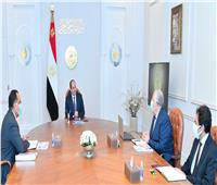 الرئيس السيسي يجتمع مع رئيس الوزراء ووزير الزراعة