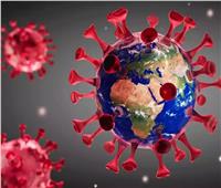 قبل حمى الخنازير الإفريقية.. فيروسات القارة السمراء تنشط في المنطقة الباردة 