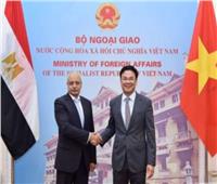 عقد الجولة الـ9 للمشاورات السياسية بين مصر وفيتنام