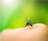 خبراء يكتشفون علاج للملاريا ويتوقعون بأنه سيغير العالم