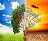 «منتدى البيئة»: التغيرات المناخية تسبب نوبات حرارية تؤثر على الزراعة| فيديو