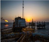«أوبك»: سوق النفط تعاني من «انفصام» ..ومؤشرات النفط الخام الرئيسية الثلاثة تعاني من التقلبات