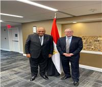 وزير الخارجية يستعرض الجهود المصرية لترسيخ الهدنة بين الأطراف اليمنية 