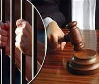 تأجيل محاكمة 17 «مستريح» بأسوان إلى 2 أكتوبر المقبل
