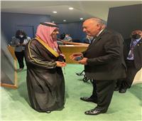  شكري يلتقي نظيره السعودي بأروقة الأمم المتحدة 