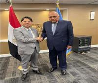 وزير الخارجية يشيد بالطفرة التي شهدتها علاقات التعاون بين مصر واليابان