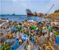 تنظيم ندوة لمناقشة تأثير الملوثات البلاستيكية على الحياة البحرية 2 أكتوبر 