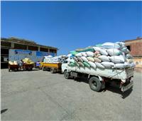انتظام أعمال توريد محصول الأرز بالبحيرة وتوريد 5301 طن حتى الآن
