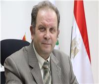 وزارة المالية: نستهدف دخول استثمارات جديدة لمصر 
