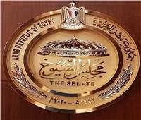 «الشيوخ»: العلاقات المصرية الإماراتية ركيزة أساسية لأمن واستقرار المنطقة 