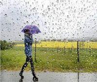 إيمان شاكر توضح استعدادات التنمية المحلية لمواجهة الأمطار