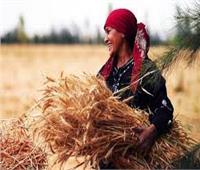 نساء مصر«تهنىء المرأة الريفية بعيدها» وتدعوا مؤسسات الدولة لتمكينها  