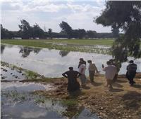 غرق أراضٍ زراعية لارتفاع منسوب مياه نهر النيل  بقرى في المنوفية |صور