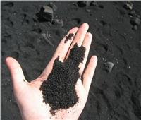 خبير اقتصادي: مشروع الرمال السوداء يساهم في زيادة نسبة التشغيل والصادرات