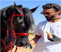 خالد النبوي يفطر مع حصانه ويعلق: «الحلو مع الحلو»