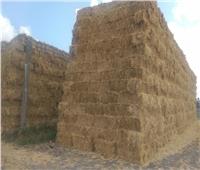 وزيرة البيئة: تزايد إقبال الأهالي على فتح مواقع جمع قش الأرز  