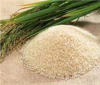 «التموين» تحذر مزارعي الأرز الممتنعين عن التوريد.. تعرف على العقوبات