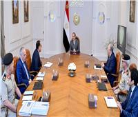 الرئيس السيسي يوجه بالتوسع في إنشاء مصانع الأسمدة الأزوتية