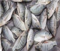 استقرار أسعار الأسماك في سوق العبور اليوم 23 أكتوبر 2022