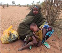 الأمم المتحدة تحذر من خطر «مجاعة كبرى» في الصومال