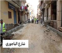 محافظ المنوفية  يتابع أعمال الرصف والتطوير بشارع الباجوري 