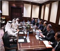 وزير البترول يبحث التعاون مع قطر في مجال البترول والغاز