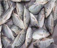 استقرار أسعار الأسماك في سوق العبور 25 أكتوبر