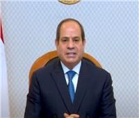 الرئيس السيسي: التعاون بين مصر والإمارات يعود بالخير الوفير على الشعوب العربية