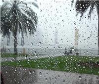 الأرصاد: أمطار خفيفة على القاهرة الكبرى والسواحل| فيديو