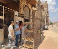 تحرير 397 محضرا تموينيا في حملات تفتيشية بمدينة أشمون