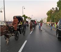 «عربة حنطور» في موكب ختام فعاليات مؤتمر اتحاد المستثمرات العرب بالأقصر