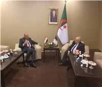 نشاط مكثف لوزير الخارجية على هامش اجتماعات القمة العربية في الجزائر