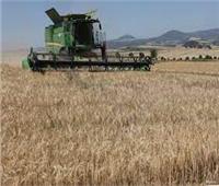 الحجر الزراعي: انسحاب روسيا من اتفاق الحبوب لن يؤثر على إمدادات القمح لمصر