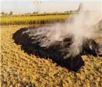 محافظ الشرقية يُشدد على التصدي لظاهرة حرق قش الأرز 