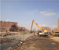 إزالة التعديات وتخصيص 500 شجرة للزراعة بأحياء جنوب القاهرة