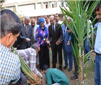 رئيس جامعة أسيوط يشارك في غرس الأشجار بمعهد جنوب مصر للأورام