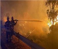 انتداب المعمل الجنائي لبيان سبب حريق أشجار طريق الواحات بالجيزة